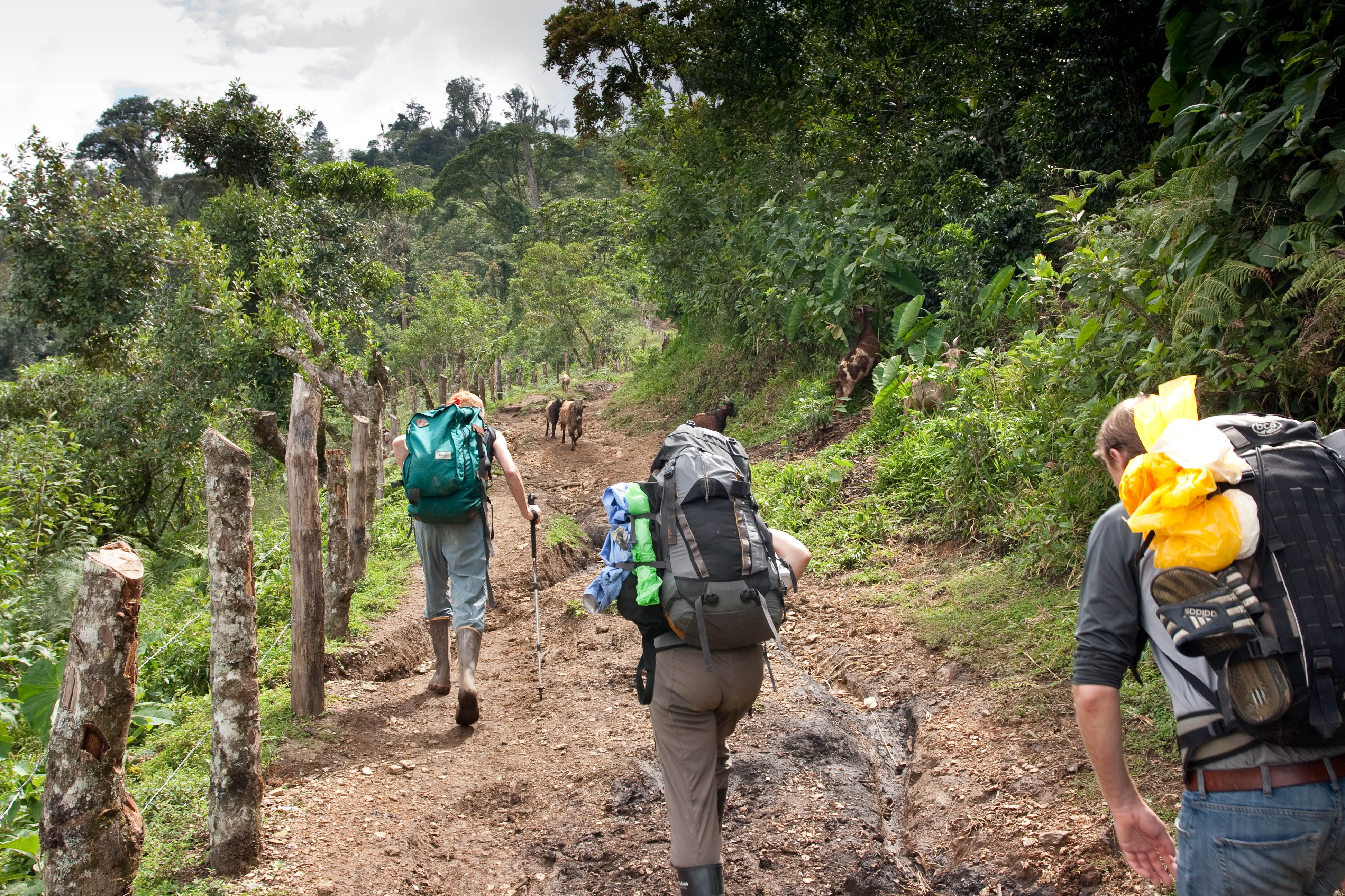 Guatemala volunteers trekking
