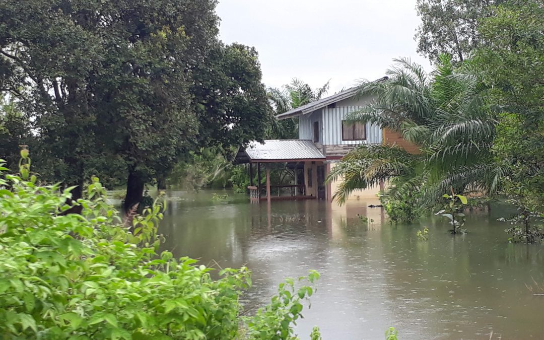 flooded street and house in rural Isan Thailand