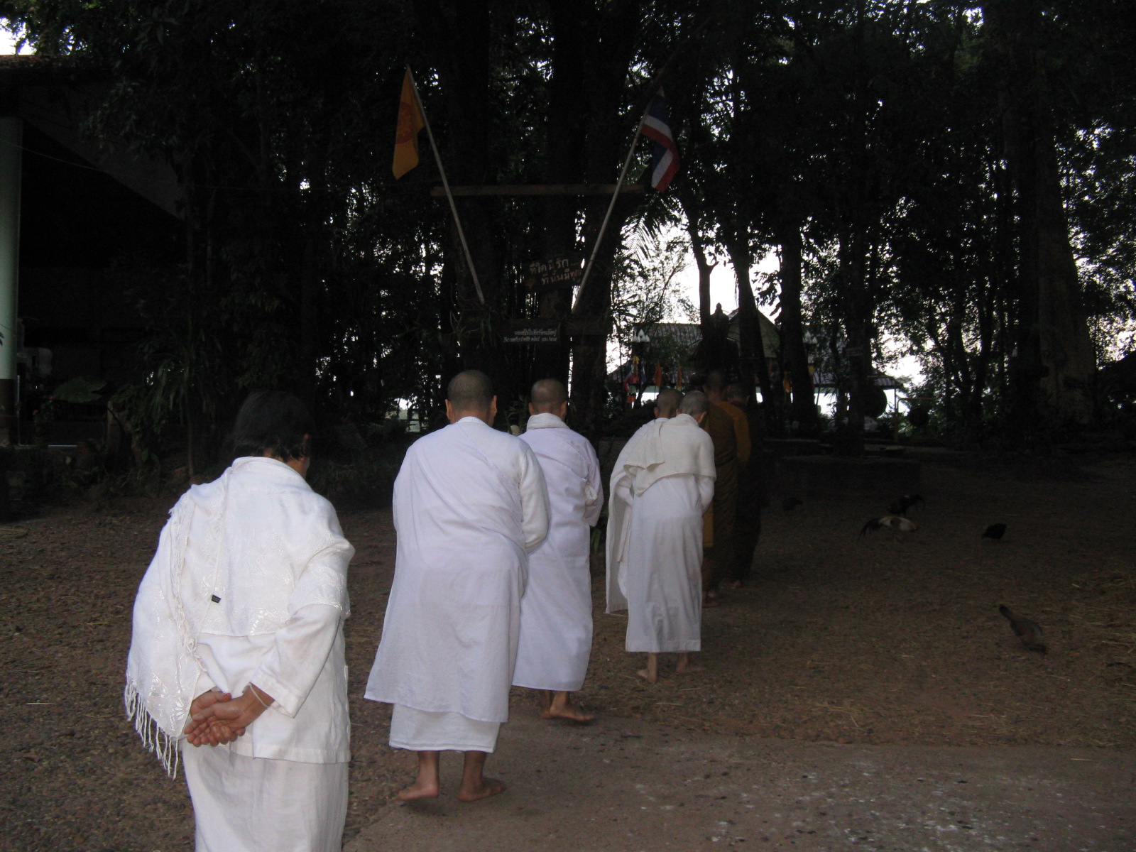 nuns in walking meditation